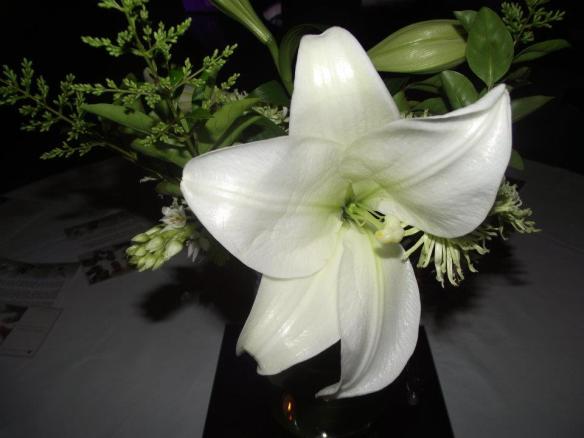 383106_2304159436638_1028815204_2186200_662747200_n